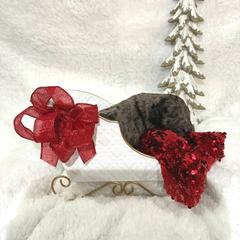 Princess Pirlipat - female Golden Mountain Doodle puppy in Victoria, Texas from Deidre's Doodles