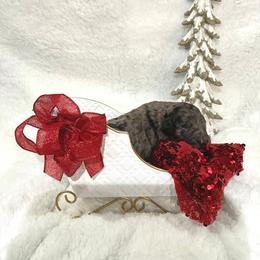 Princess Pirlipat - female Golden Mountain Doodle puppy in Victoria, Texas from Deidre's Doodles