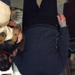 Doberman Pinschers from Merrimac Dobermans