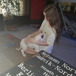 Dogo Argentino Puppies from K&B Southern Oregon Argentino Dogos