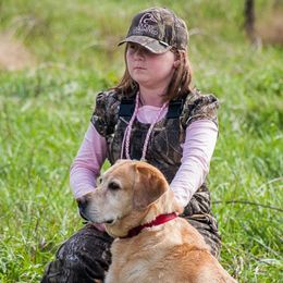 Labrador Retrievers from C.R. Labradors LLC