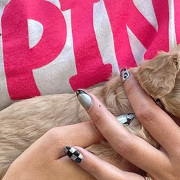 Goldendoodles from Curry Doodles