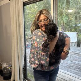 Yorkipoo and Yorkshire Terrier Puppies from Yorkie Oodle Doodle