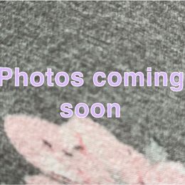 Boy 2 - Cream and white male Chihuahua puppy in Paradise, Texas from KCL Pups