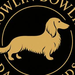 Dachshunds from Alex Bowlin