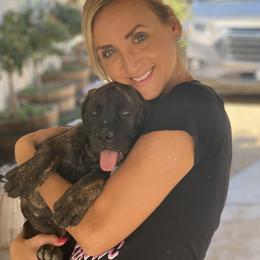 Boerboel Puppies from Coachella So Cal Boerboels