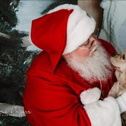 Cocker Spaniel Puppies from Gates Cocker Spaniels