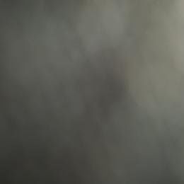 Augustus - Black white and tan male English Springer Spaniel puppy in Florida from Thunderbird Springers