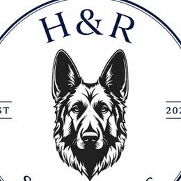 German Shepherds from H&R shepherds
