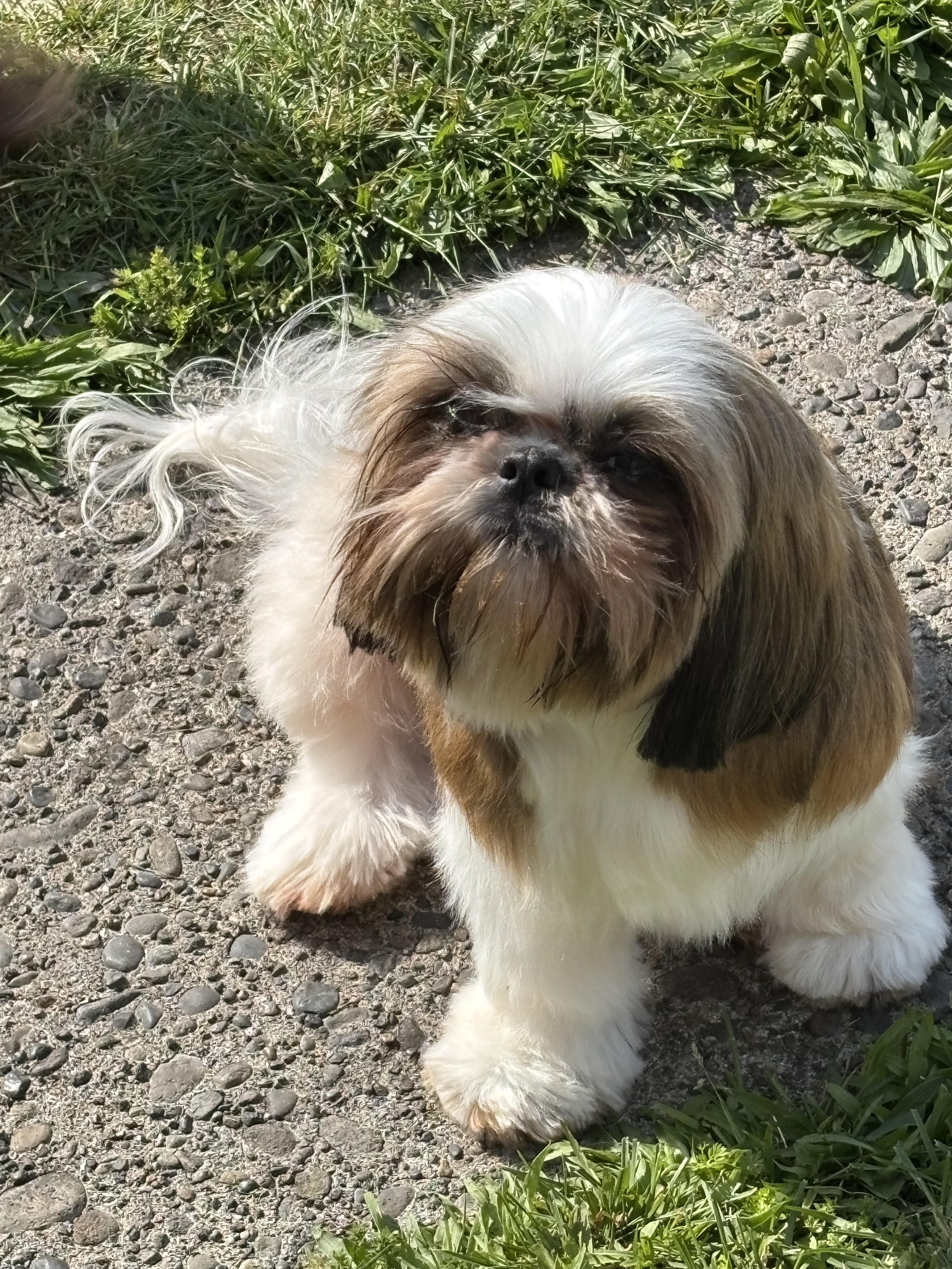 AUDREY