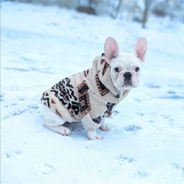 Aspen - White female French Bulldog puppy in Fort Atkinson, Wisconsin from Bishop Bullyz