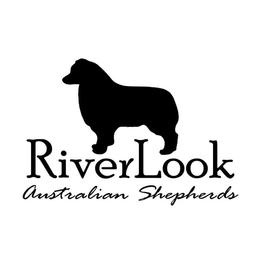 Sold - Black tri-color female Australian Shepherd puppy in Elkton, Tennessee from Riverlook Australian Shepherds