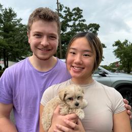 Pamela - Champagne female Maltipoo puppy in Lawrenceburg, Tennessee from LUV Poodles and Maltipoos