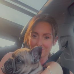 Winchester - Fawn male French Bulldog puppy in Coeur D Alene, Idaho from Frenchie Authority