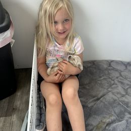 Cocker Spaniel Puppies from Cockers of Country Lane