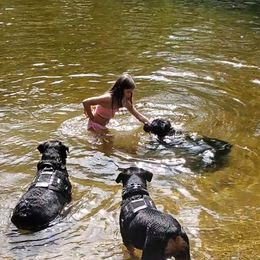 Rottweiler Puppies from Iron Clad Rottweiler