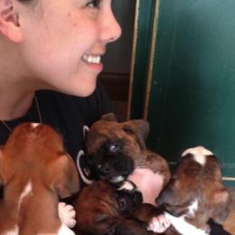 Boxer Puppies from DC Boxers