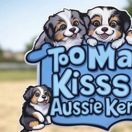 Toy Australian Shepherds from Too Many Kisses Toy Aussie Kennel