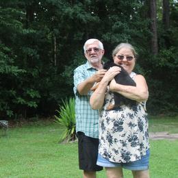 Girl 1 - Black and mahogany female Rottweiler puppy in Tallahassee, Florida from Patrick's Pups