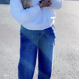 Yorkshire Terrier Puppies from The Royal Yorkie Den LLC