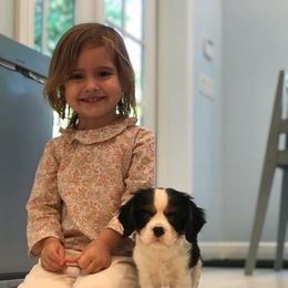 Cavalier King Charles Spaniel Puppies from Castle Rock Cavaliers