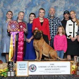 Ducati - Bullmastiff