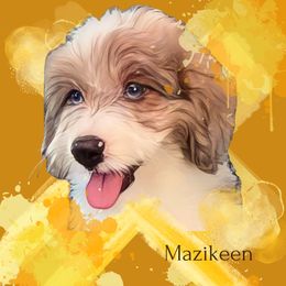 Mazikeen - Aussiedoodle