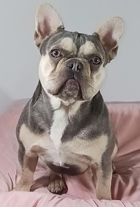 Lily