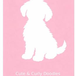 Girl 2 - Red  female Goldendoodle puppy in Harris County, Texas from Cute & Curly Doodles