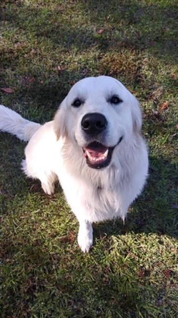 Unnamed