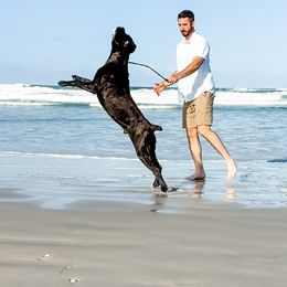 Luca - Cane Corso