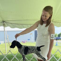 German Shorthaired Pointer Puppies from Chrishelle Farm