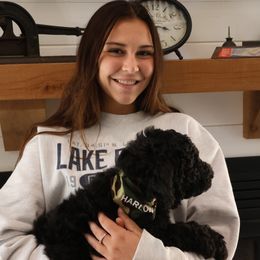 Goldendoodle Puppies from FurEver Friends Doodles