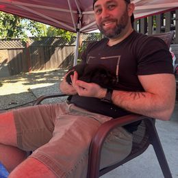 Labrador Retriever Puppies from Red Barn Family Labs