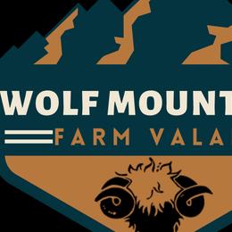 Central Asian Shepherd Dogs from Wolf Mountain Farm