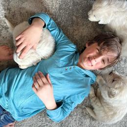 Golden Retriever and Labrador Retriever Puppies from Golden Bundles