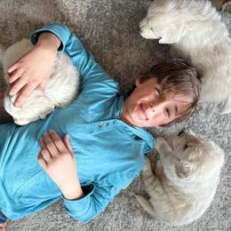 Golden Retriever and Labrador Retriever Puppies from Golden Bundles