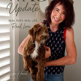 Blaze - Red male Bernedoodle puppy in Caldwell, Idaho from Boise Doodle Co.
