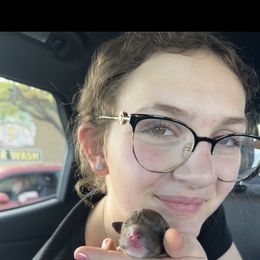 Lagotto Romagnolo Puppies from Anna’s Lagottos