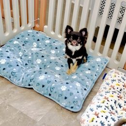 Girl.Chocolate Rose$6500 - Chihuahua puppy from Eva's Chihuahua