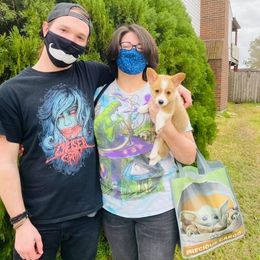 American Corgi and Pembroke Welsh Corgi Puppies from Rainbow Corgis