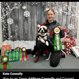 Border Collie All Grown Up from Wall's Border Collies