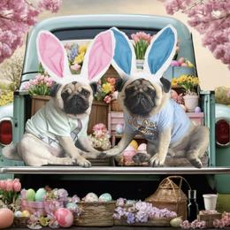 Bulldog and Pug Puppies from Love that bulldog lewter family