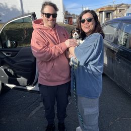 Cavalier King Charles Spaniel Puppies from Meant To Be Cavalier King Charles Spaniels