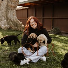 Labrador Retriever Puppies from O’Brien Labrador Retrievers