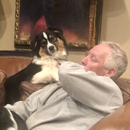 Australian Shepherd Puppies from Highline