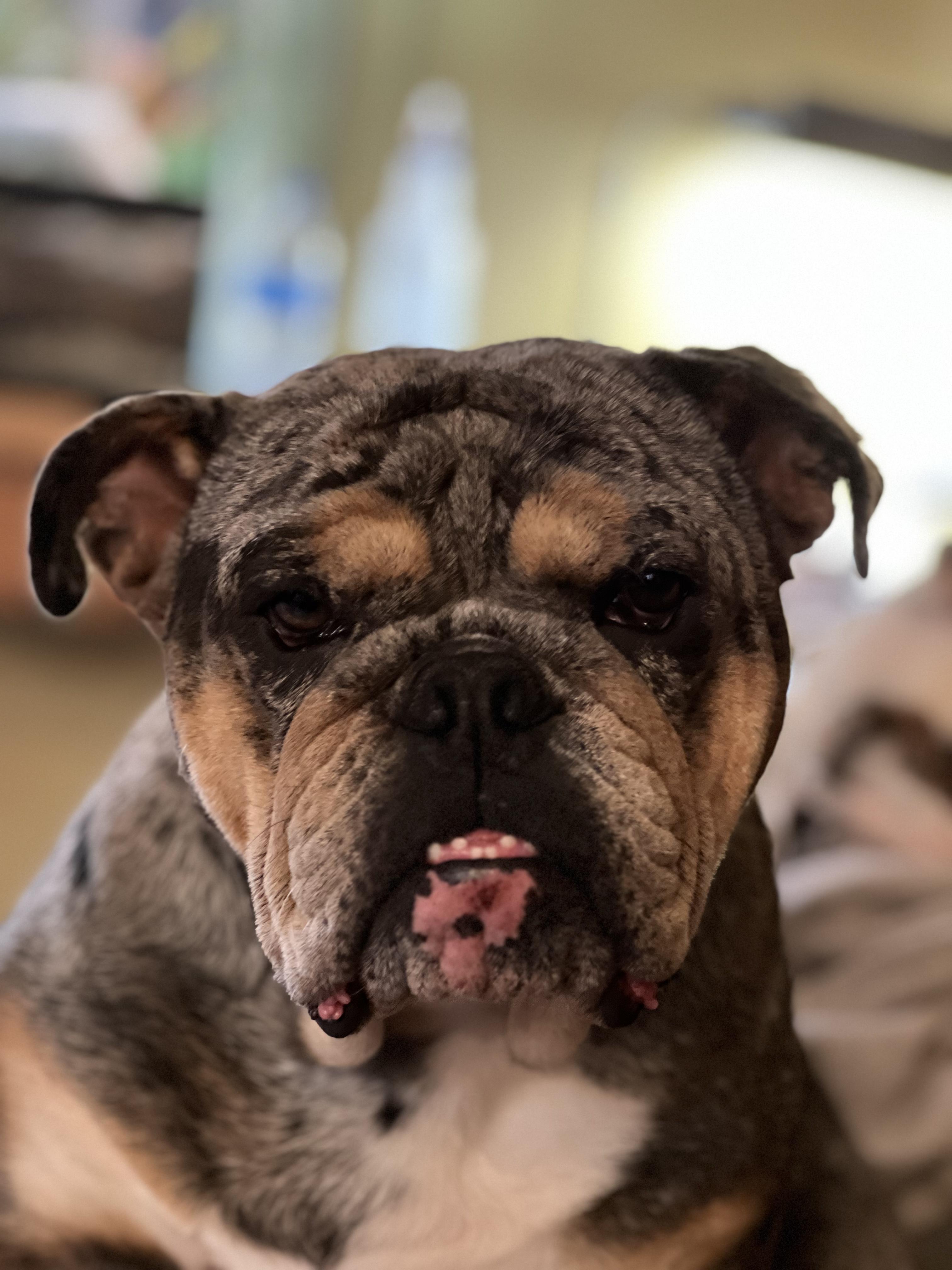Uma