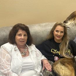 Pomskies and Shetland Sheepdogs from Lone Star Sheltie’s & Pomskies