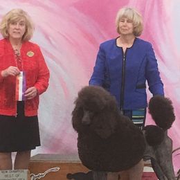 Doc - Poodle