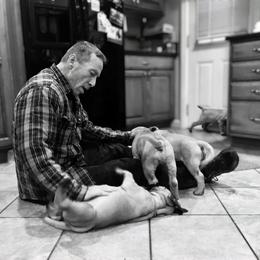 Bullmastiff Puppies from Amulet Bullmastiffs